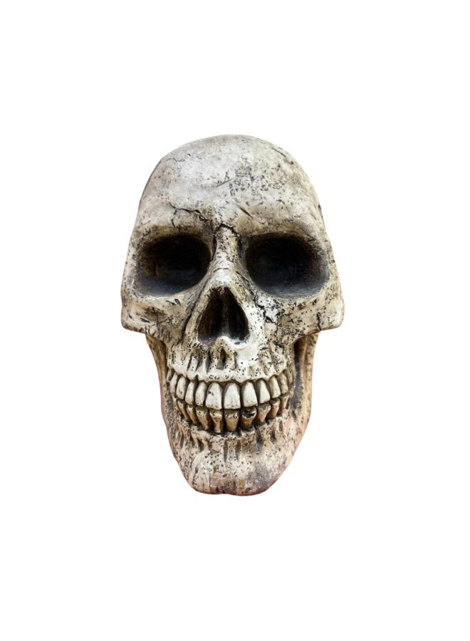 Decorative Skull Figurine – Resin Home Décor Statue - Image 1